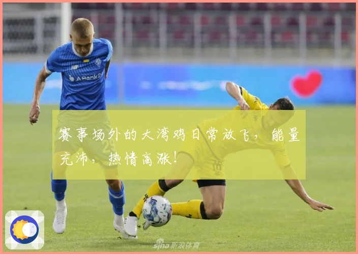 赛事场外的大湾鸡日常放飞，能量充沛，热情高涨！