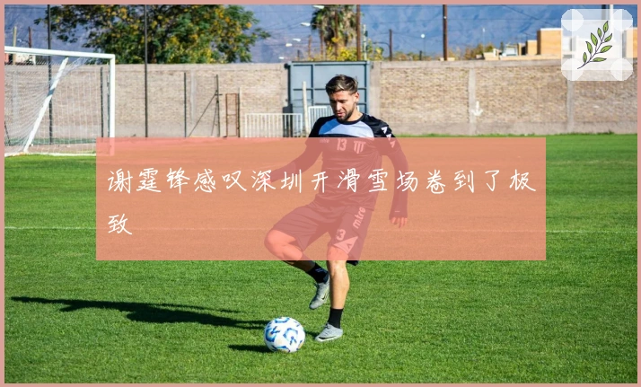 谢霆锋感叹深圳开滑雪场卷到了极致