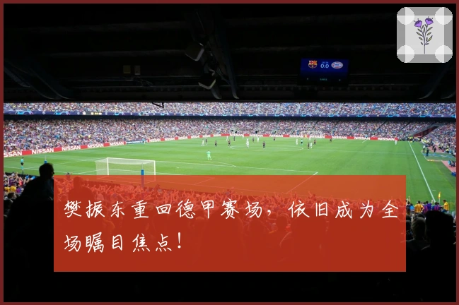 樊振东重回德甲赛场，依旧成为全场瞩目焦点！